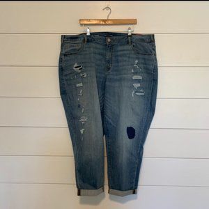 Lane Bryant Distressed Cropped Jeans